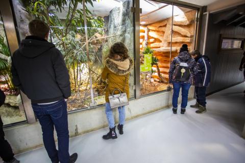 Muzoo passe à l&rsquo;heure d&rsquo;hiver