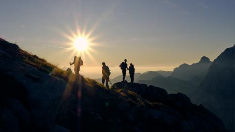 Randonnées  accompagnées en nature à Ollon (VD)