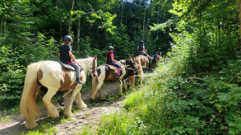 Camps à la ferme avec les chevaux du Petit Coin de Bonheur