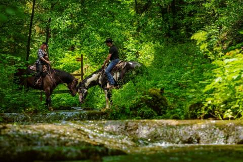 1500 km à cheval dans le Jura et le Jura bernois