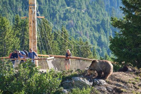 Arosa Terre des Ours