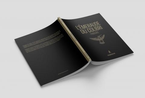 Enigmadventure – chasse au trésor géante à Fribourg