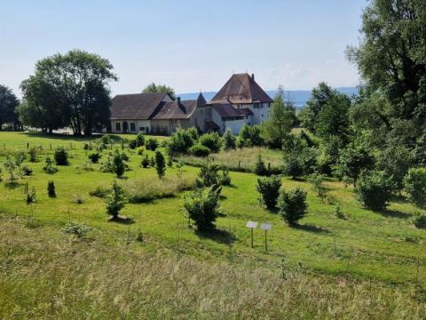 Découverte de la truffière didactique à Bonvillars