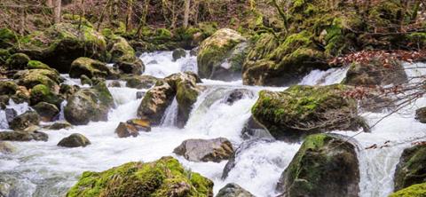 Les Gorges de l’Areuse