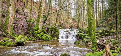 Ruisseau de Vaux et cascade du Pilouvi
