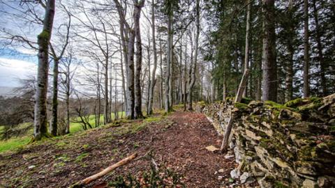 Autour du Sentier Nature