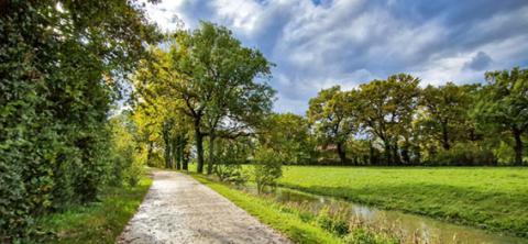 Le Marais de Sionnet
