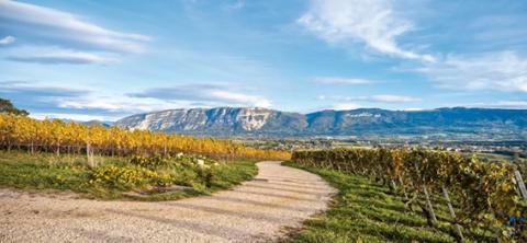 Des bords de l’Aire au Signal de Bernex