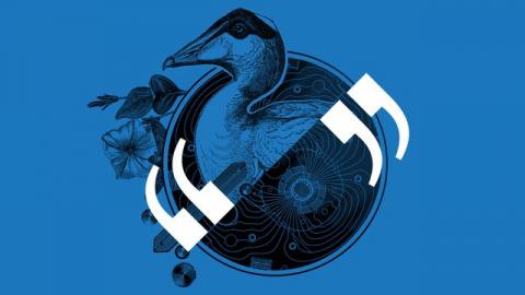 Expo « Dialogues insolites – Le Muséum rencontre le CERN »
