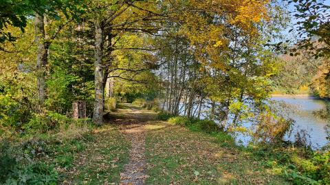 Tour du Lac de Lessoc