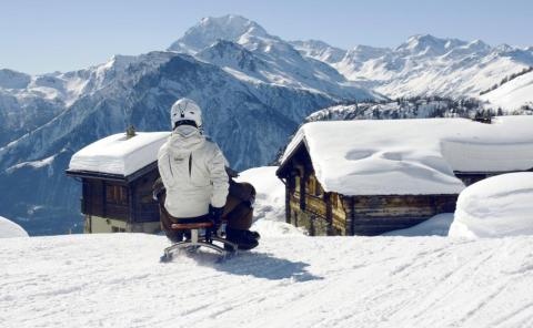 Piste de luge Belalp-Blatten