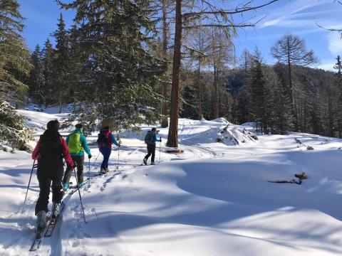 Nendaz Movement Tracks
