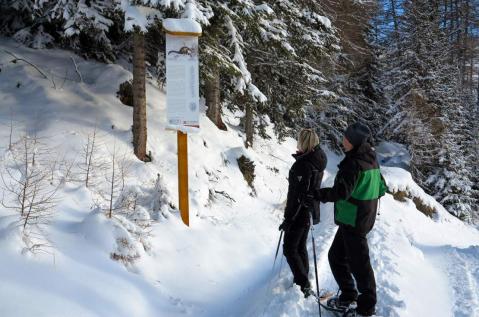 Les sentiers des traces, dans le val d&rsquo;Hérens