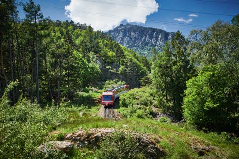 Transports de Martigny et Régions (TMR)
