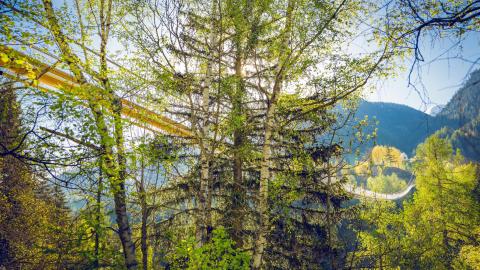 Gorges de la Vièze