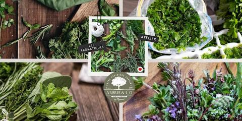 Atelier Plantes aromatiques perpétuelles