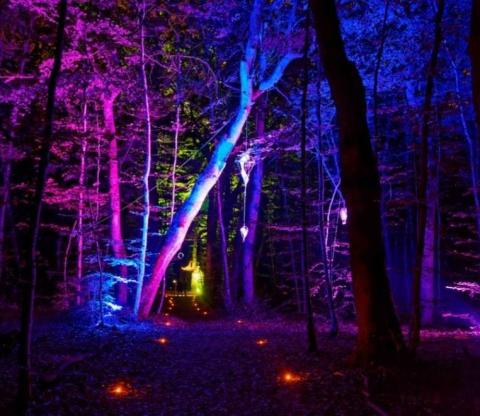 O festival Arts et lumières – Dardagny