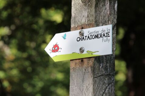 Sentier didactique de la Châtaigneraie