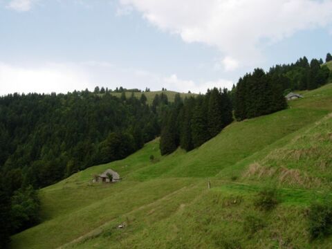 Cergnaule – La Forcla