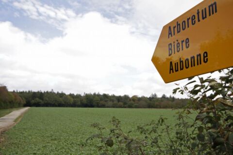 L&rsquo;Aubonne, de Ballens à Aubonne