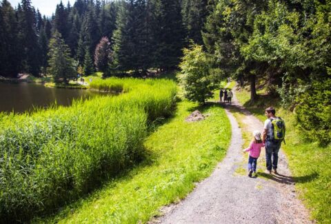 Lac des Joncs