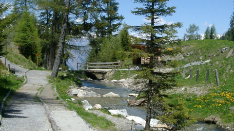 Le sentier des sens à la Tzoumaz