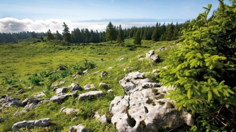Mollendruz-Romainmôtier