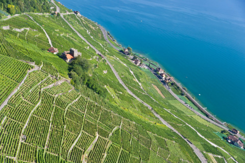 Les terrasses de Lavaux
