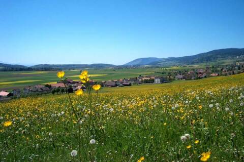 Promenade dans le Val-de-Ruz