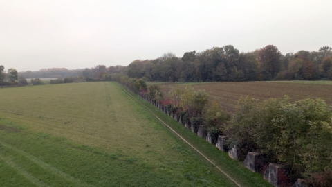 Sentier des Toblerones – Prangins
