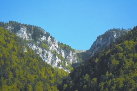 Réserve naturelle de la Combe Grède