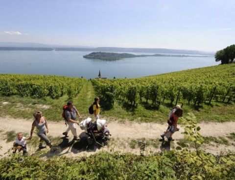 Balade à pied sur les hauts du lac de Bienne