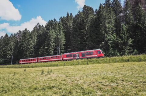 Balades à pied dans le Jura