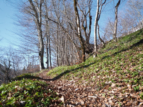 Gorges de Covatannaz