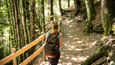 Chemin des poussettes à Champéry