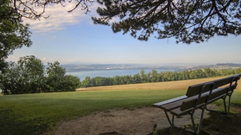 Sentier historique du Vully