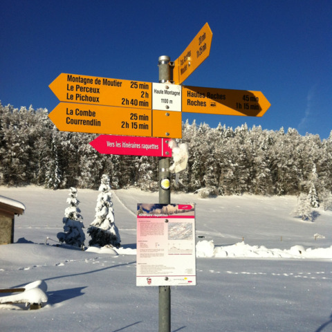 Itinéraire raquettes facile dans le Jura bernois