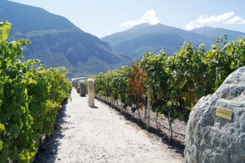 Sentier des Terroirs