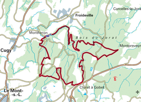 Balade à vélo dans les bois du Jorat