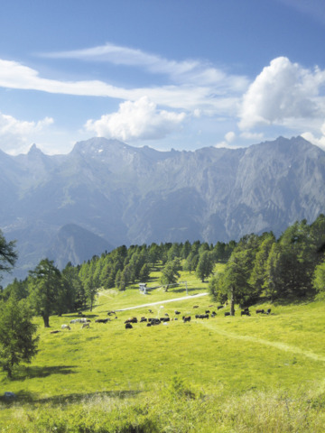 Balade à vélo au départ de Haute-Nendaz