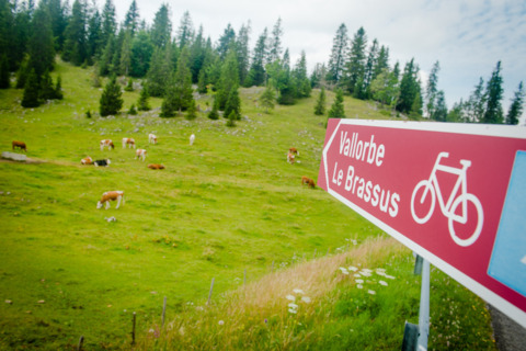 Balade à vélo du lac de Joux à Genolier