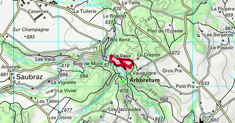 Balade à l&rsquo;Arboretum d&rsquo;Aubonne