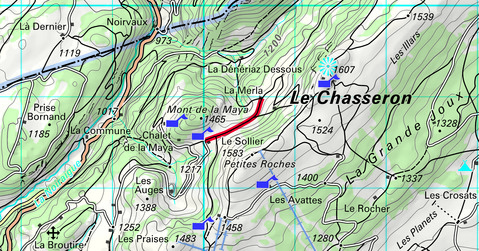 Balade sur les traces des marmottes