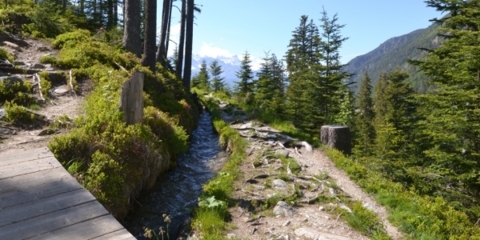 Bisse du lac de Champex