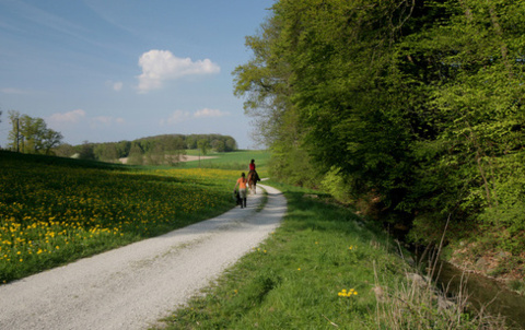 Sentier des Castors
