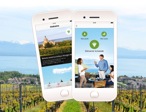 Balade oenotouristique en Lavaux
