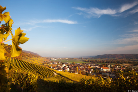 A fleur de coteaux