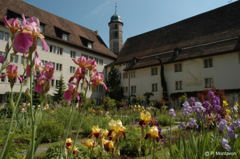 Voyage dans la cité princière