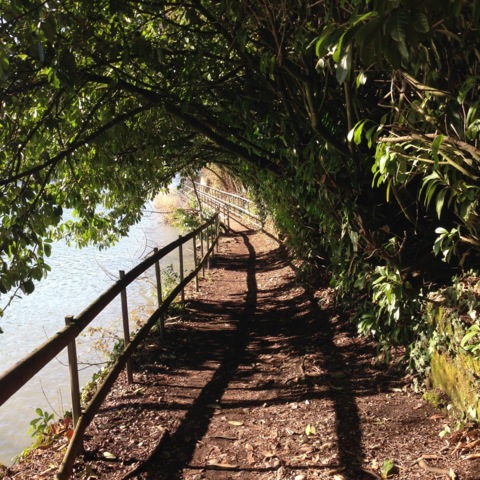 Une nature béton