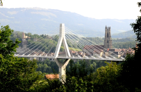 Moderne transhumance